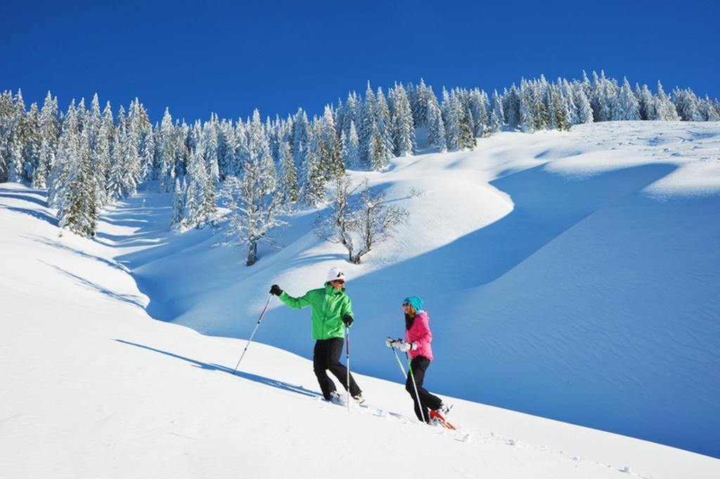 Hotel Alpenrose Muehlbach Am Hochkoenig Εξωτερικό φωτογραφία