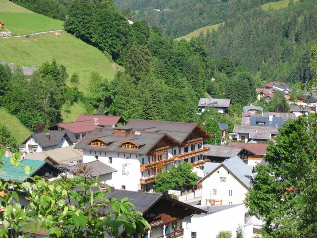 Hotel Alpenrose Muehlbach Am Hochkoenig Εξωτερικό φωτογραφία